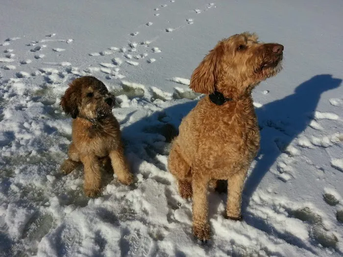 Lake Animal Hospital Picture 4