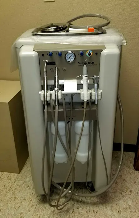 Lake Animal Hospital Picture 9