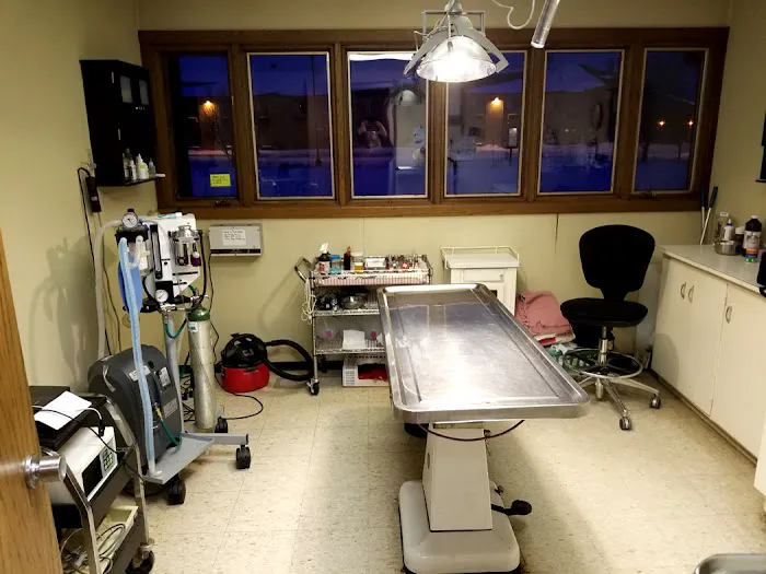 Lake Animal Hospital Picture 8