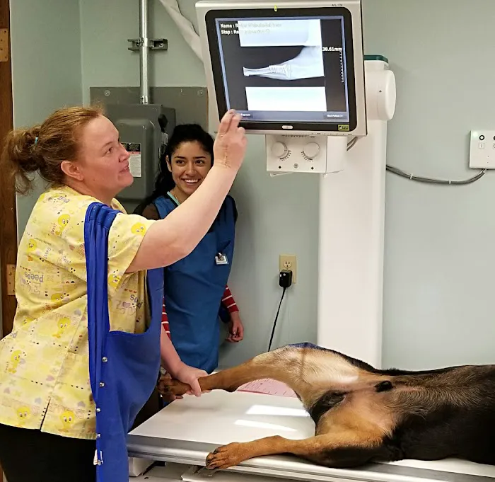 Lake Animal Hospital Picture 10