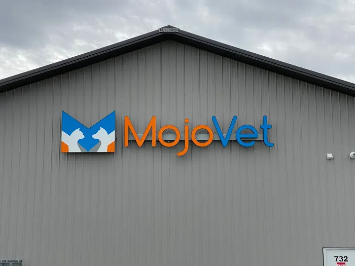 MojoVet Picture 2