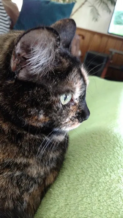 Van Meter Veterinary Clinic Picture 2