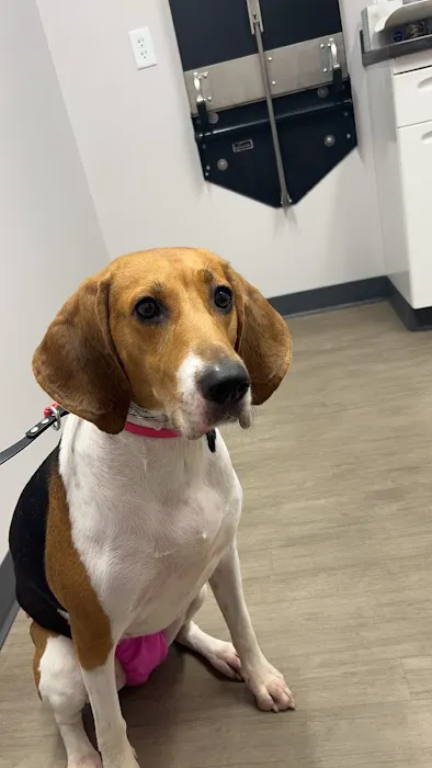 Van Meter Veterinary Clinic Picture 4