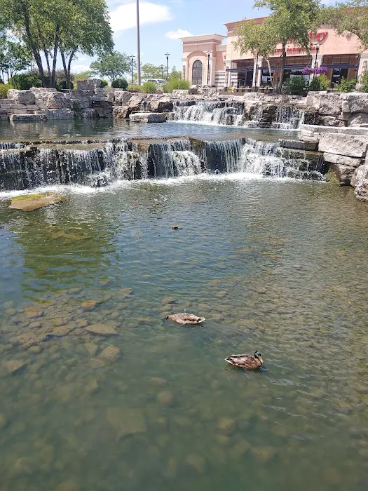 Vetco Total Care Animal Hospital Picture 2