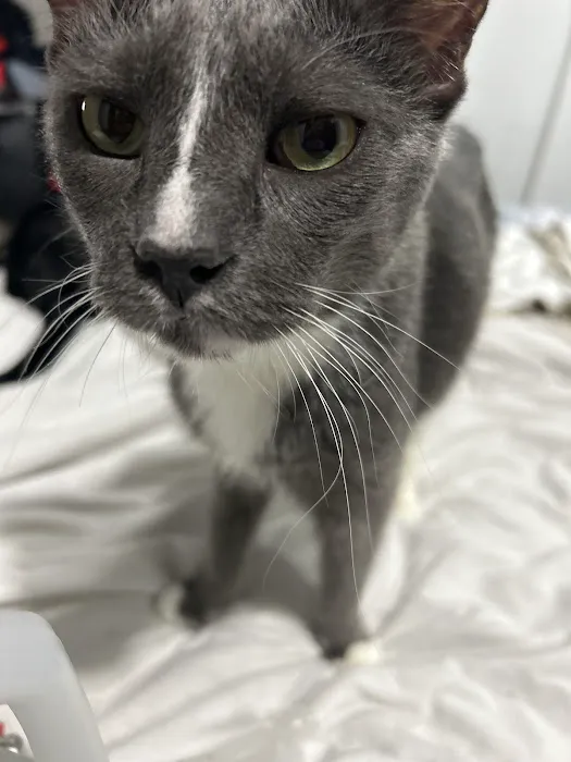 Vetco Total Care Animal Hospital Picture 3