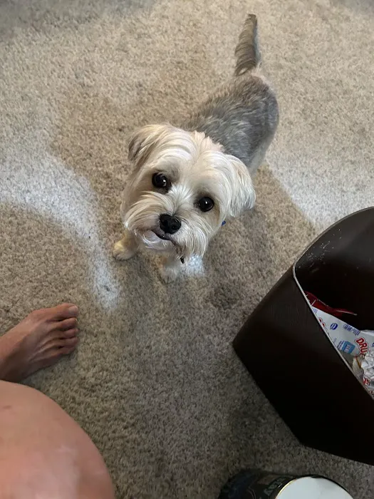 Vetco Total Care Animal Hospital Picture 4