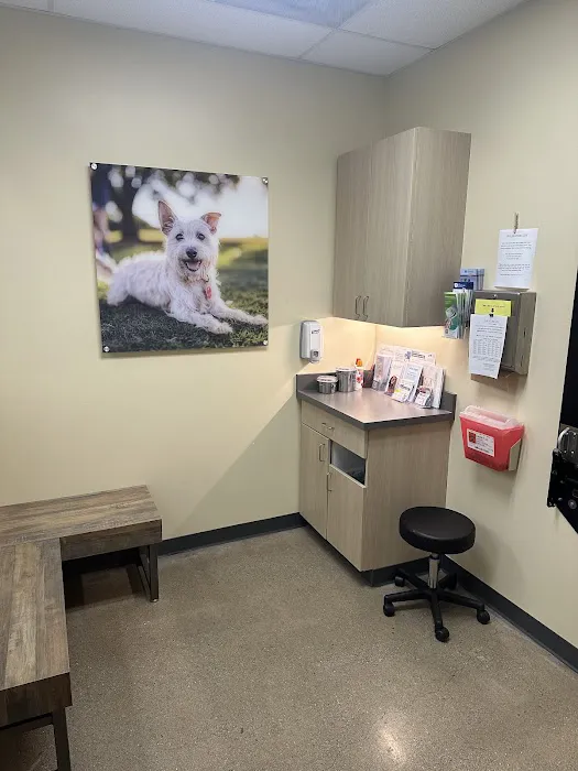 Vetco Total Care Animal Hospital Picture 7