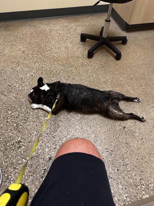 Vetco Total Care Animal Hospital Picture 6