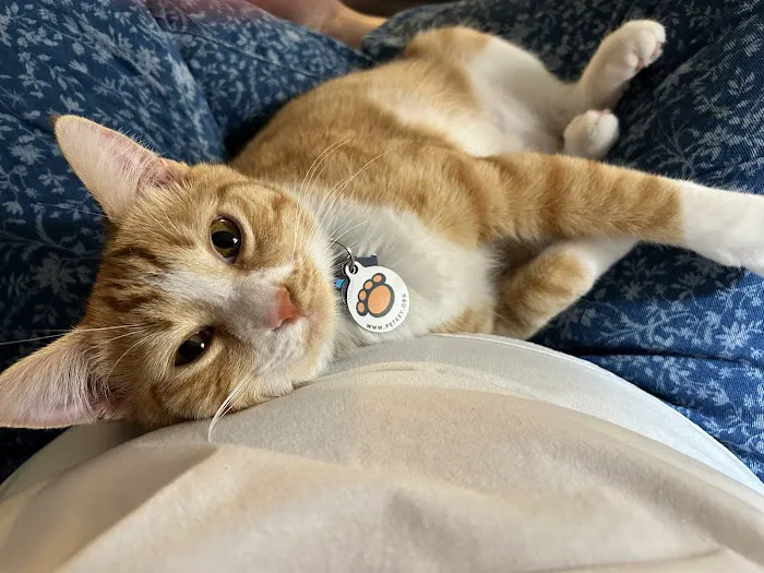 Vetco Total Care Animal Hospital Picture 5