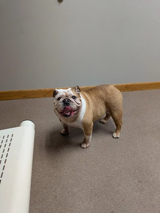 Guthrie County Veterinary Services Picture 1