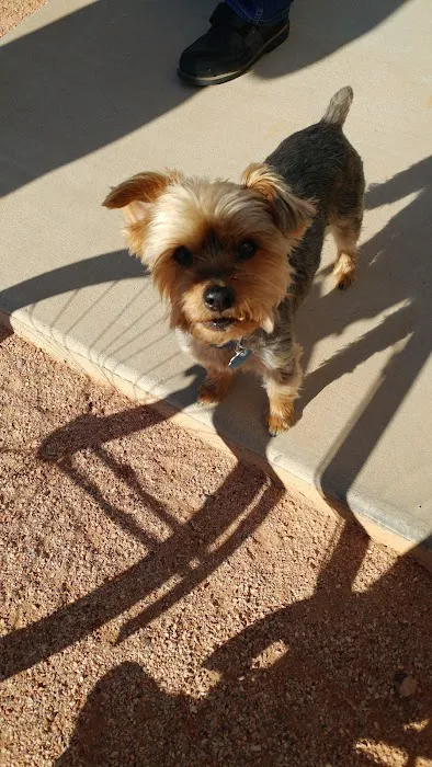 Guthrie County Veterinary Services Picture 7