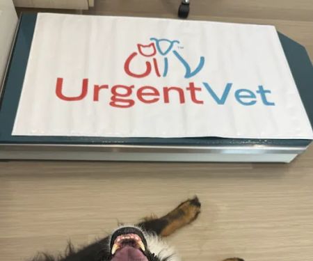 UrgentVet