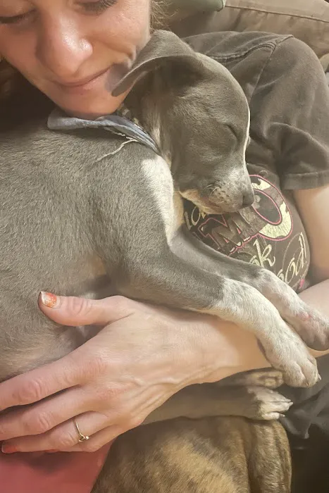 Parkside Animal Hospital Picture 1