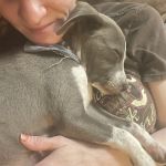 Parkside Animal Hospital