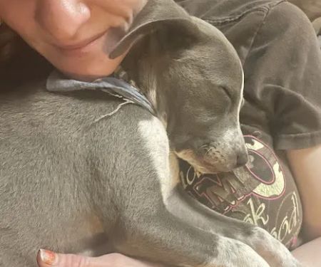 Parkside Animal Hospital