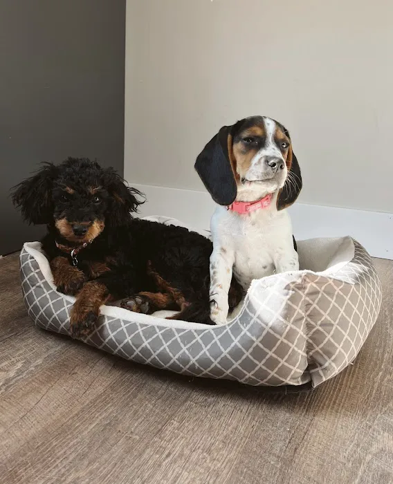 Animal Health Center of Centerville Picture 1