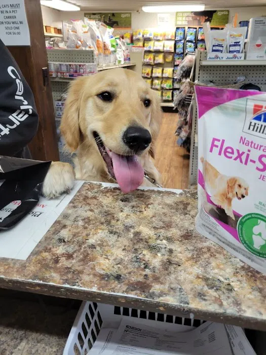 Animal Health Center of Centerville Picture 4