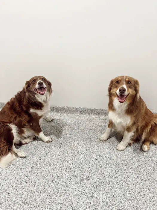 Animal Health Center of Centerville Picture 6