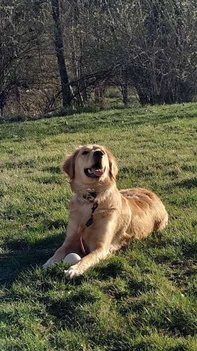 Animal Health Center of Centerville Picture 8