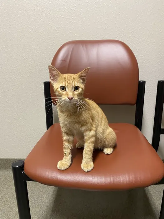 Unionville Veterinary Clinic Picture 2