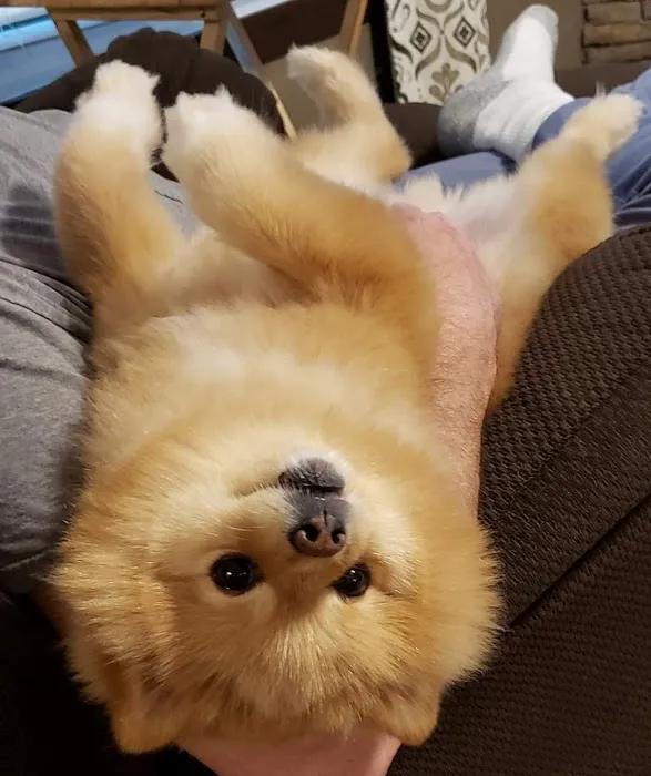 Unionville Veterinary Clinic Picture 4