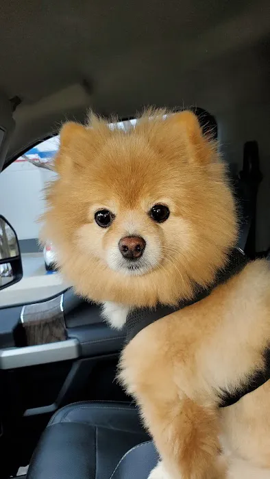 Unionville Veterinary Clinic Picture 5