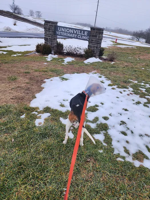 Unionville Veterinary Clinic Picture 7