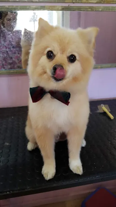 Unionville Veterinary Clinic Picture 6