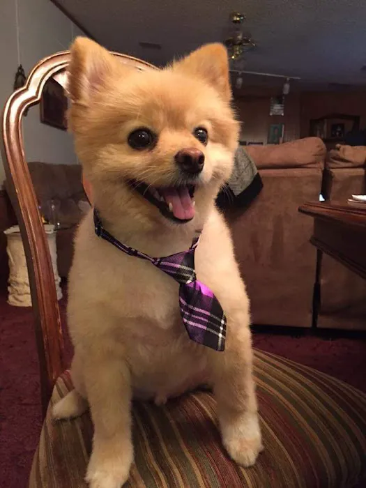 Unionville Veterinary Clinic Picture 9