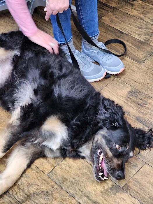 Griffin's Animal Hospital Picture 1