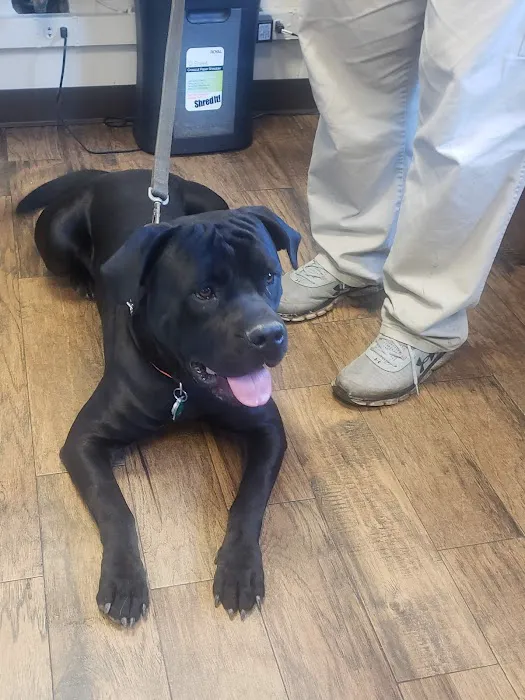 Griffin's Animal Hospital Picture 2