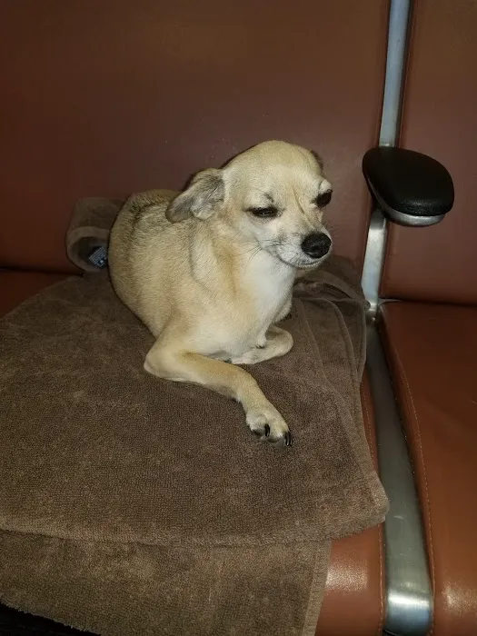 Griffin's Animal Hospital Picture 3