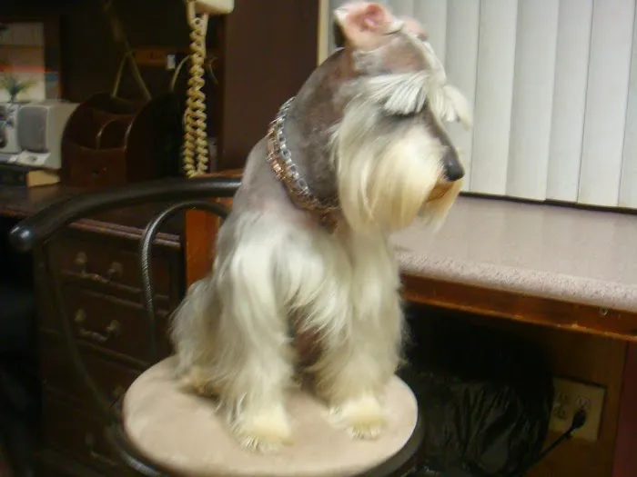 Griffin's Animal Hospital Picture 6