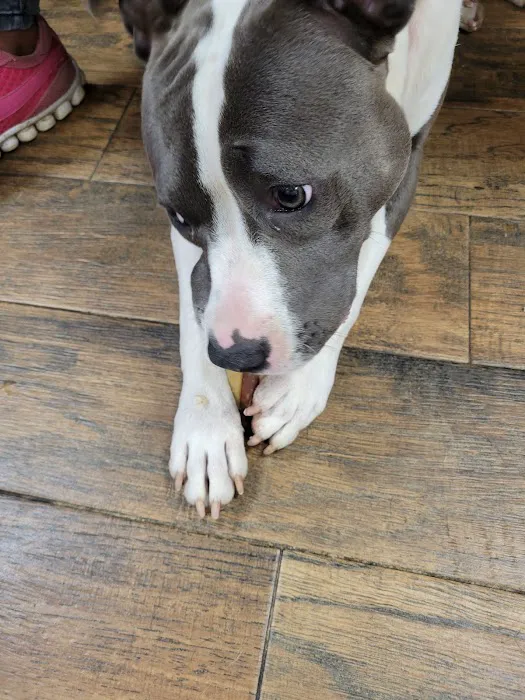 Griffin's Animal Hospital Picture 7