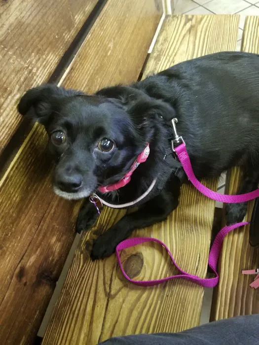 Griffin's Animal Hospital Picture 5