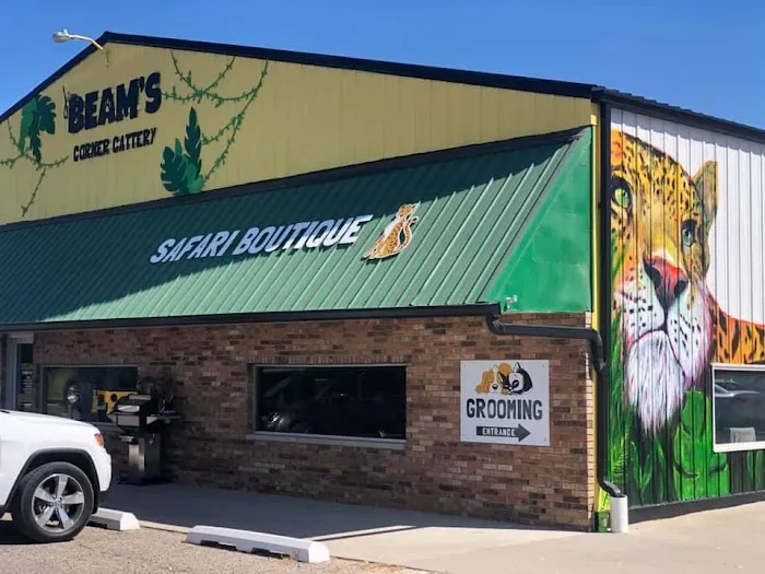 Jim Beams Corner Cattery Picture 4