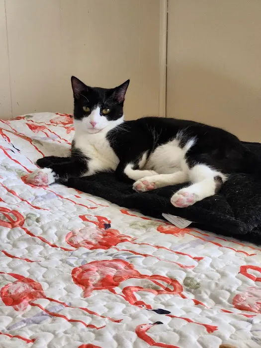 Flora Veterinary Clinic Picture 3