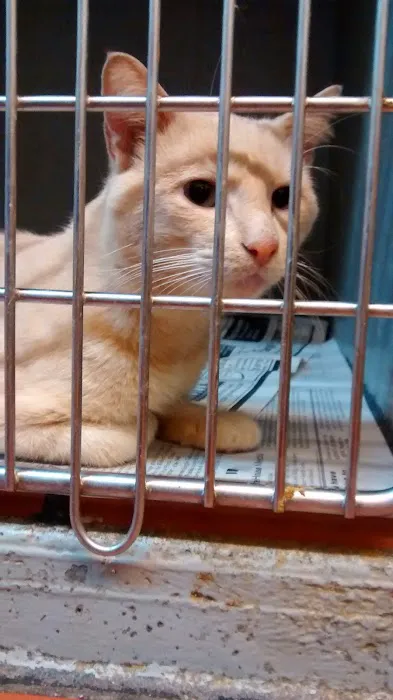 Flora Veterinary Clinic Picture 4