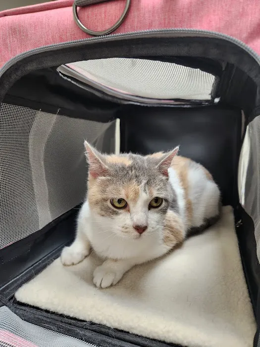 Flora Veterinary Clinic Picture 2