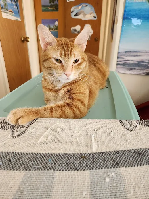 Flora Veterinary Clinic Picture 1