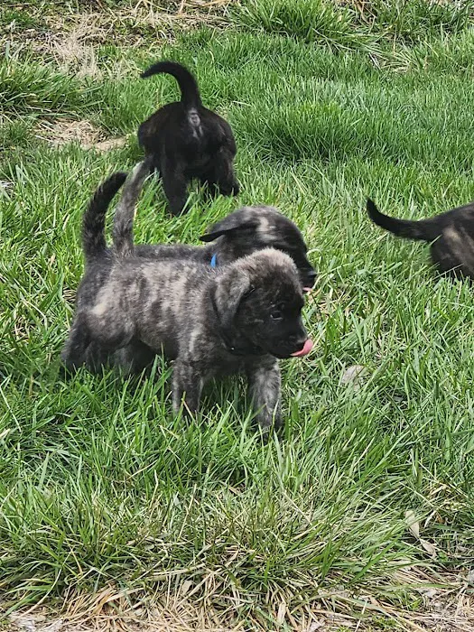 Flora Veterinary Clinic Picture 6