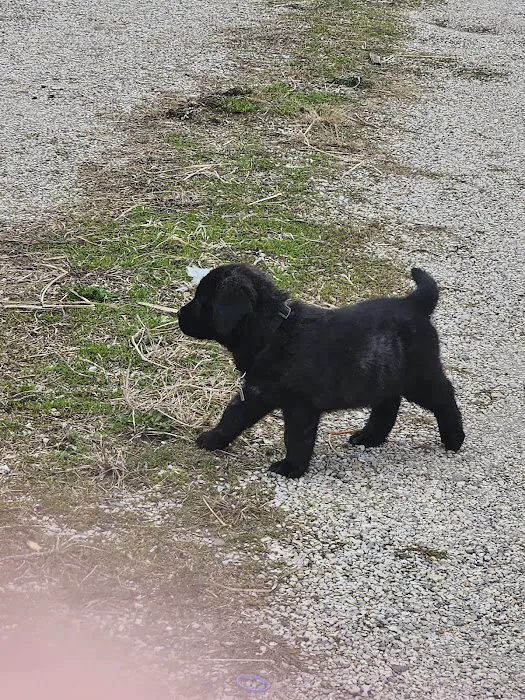 Flora Veterinary Clinic Picture 5