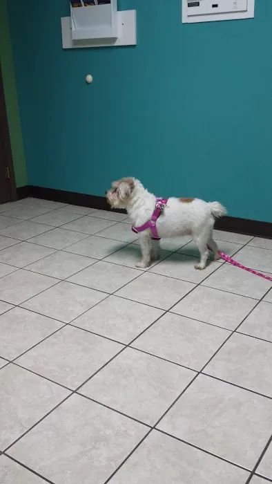 Flora Veterinary Clinic Picture 9