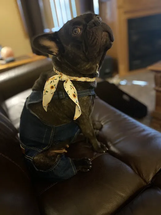 Sesser Animal Hospital Picture 2