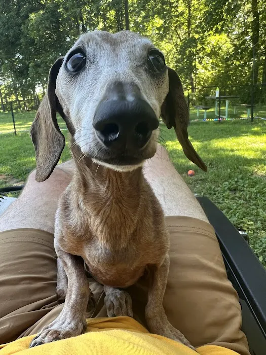 Sesser Animal Hospital Picture 4