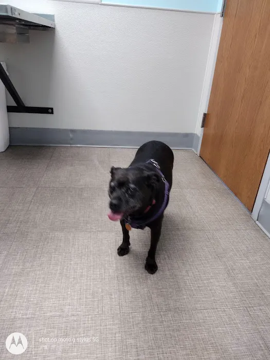 Sesser Animal Hospital Picture 9