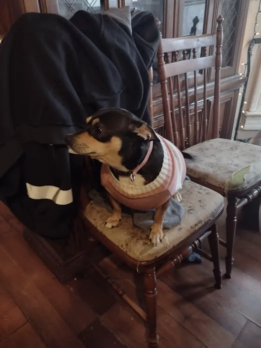 St Francis Animal Hospital Picture 5