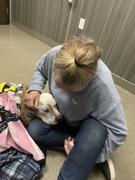 Duquoin Vet Clinic Picture 1