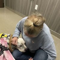 Duquoin Vet Clinic ico