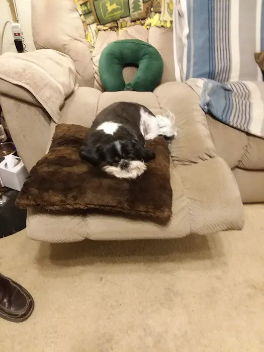 Du Quoin Veterinary Clinic Picture 2